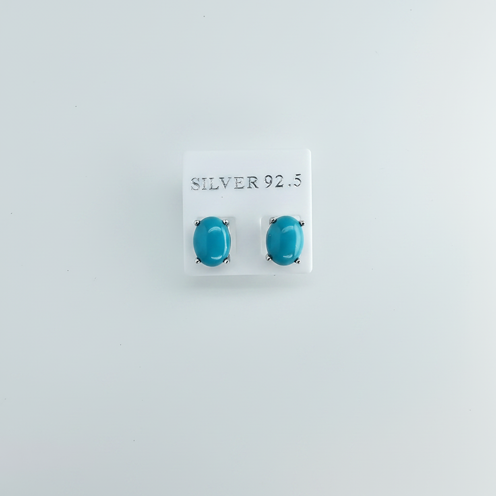 Sleeping Beauty Turquoise Earrings - Clean Background